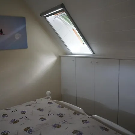 Am Waeldchen Appartement Zingst Buitenkant foto